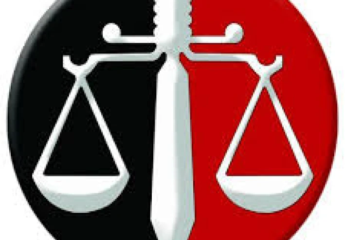 لماذا يجب أن يحرر المحامي عقود البيع والمسائل القانونية