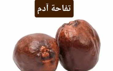 الفاكهه الغامضه التي لا يجب أن تأكلها