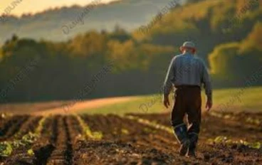 حين تُثمر القلوب قبل الأرض