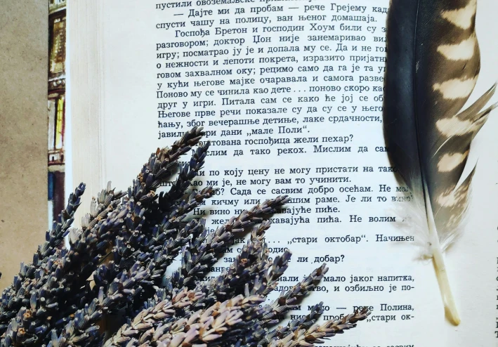 الشعر: الصورة العميقة للواقع ومنزلة "العلم" في منظومة الفن والأدب