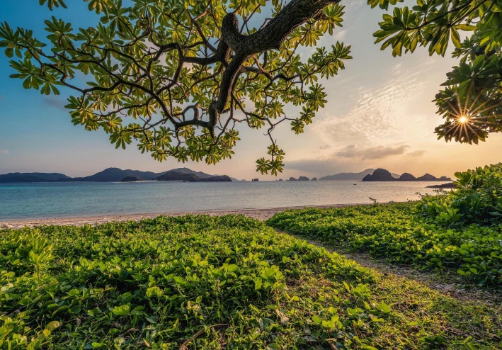 عام جديد ..و بدايه جديده 2026