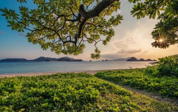 عام جديد ..و بدايه جديده 2026