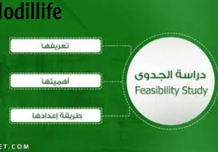 ماهي دراسة الجدوى وكيف يمكن أن تساعدني في مشروعي