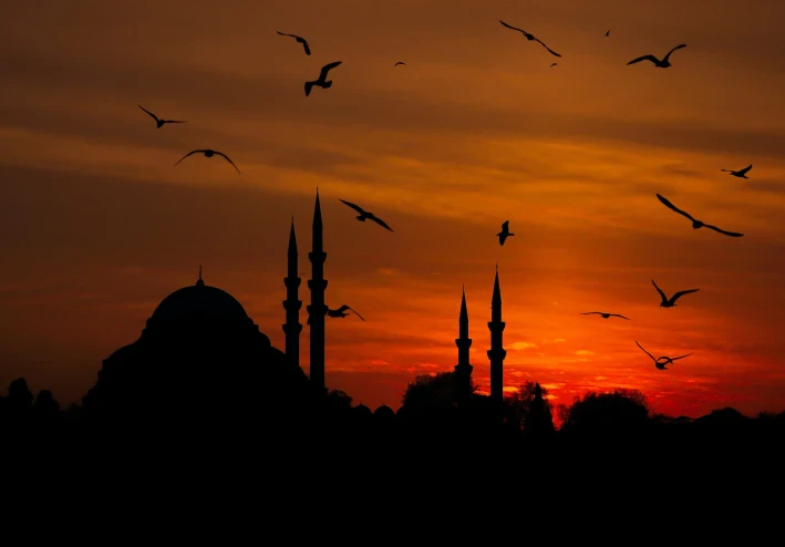 هل الارواح تتناسخ...اي تنتقل من جسد الي جسد؟