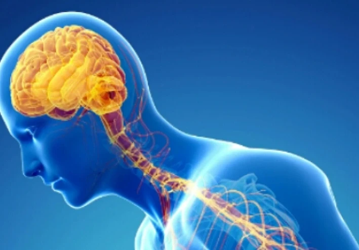 عندما يتوقف الدوبامين