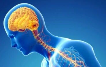 عندما يتوقف الدوبامين