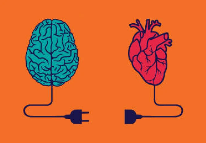 رحلة في فهم مهارة الذكاء العاطفي