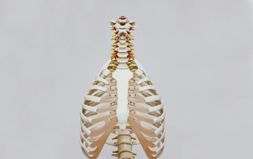 حقائق علمية مذهلة عن جسم الإنسان