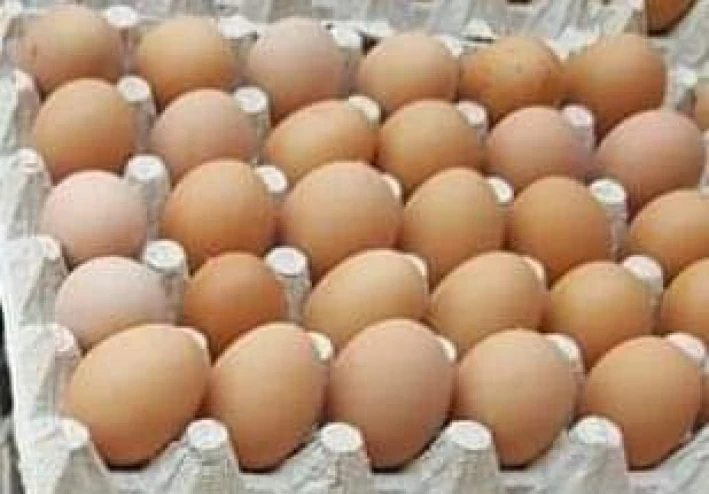 أسعار البيض والدواجن