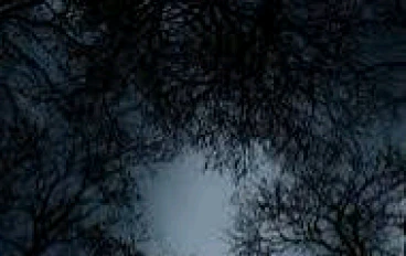 لم تكن مقبره عاديه 