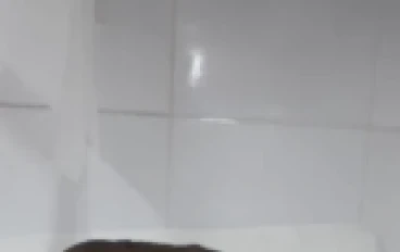 طريقة عمل عجينة الرفيولي وجميع المكرونات