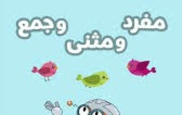 شرح قواعد نحوية ( المفرد - المثني - الجمع )