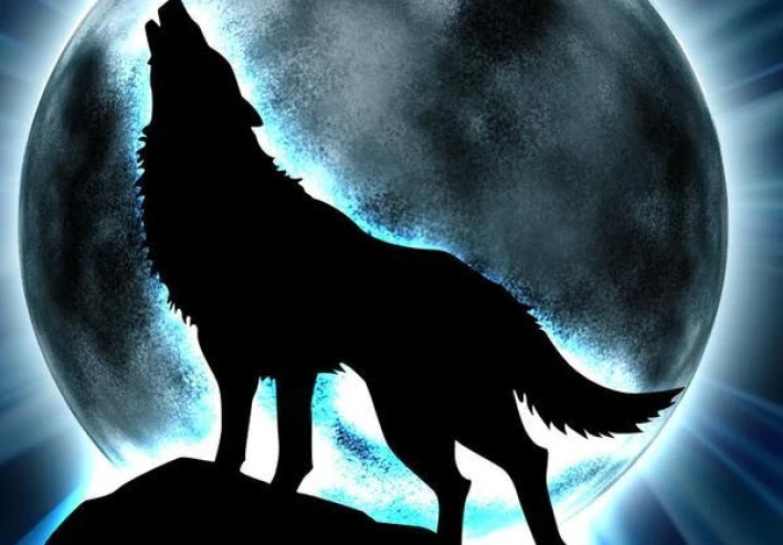 من أقوى قصص الرعب البيت رقم 9