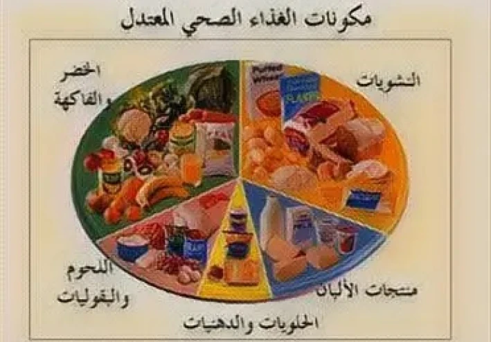 بحث عن التغذية السليمة كامل