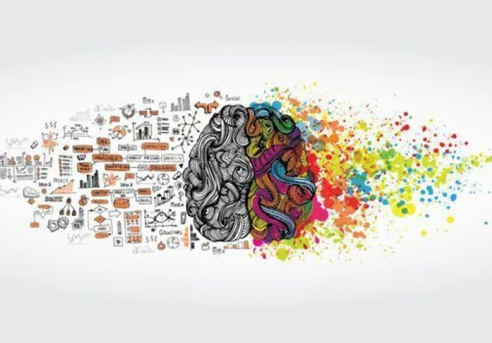 سر نجاح العلاقات في الذكاء العاطفي, هل الكلام ده صحيح ؟جانب طبي وعصبي في الذكاء العاطفي