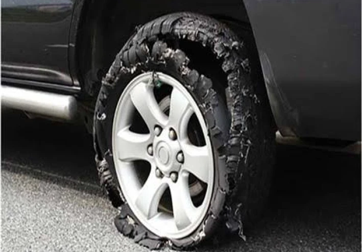 قصة الغباء القاتل