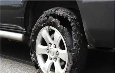  قصة الغباء القاتل