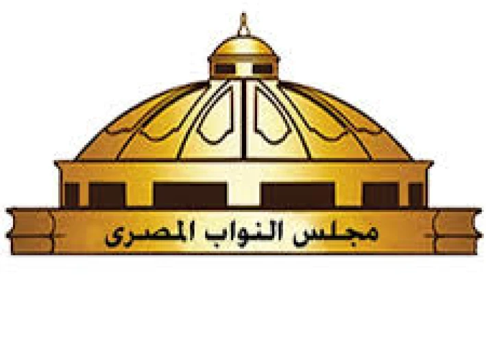 ما هو مجلس الشعب؟ فهم مبسط هو اى ومهامه اى وتاريخه