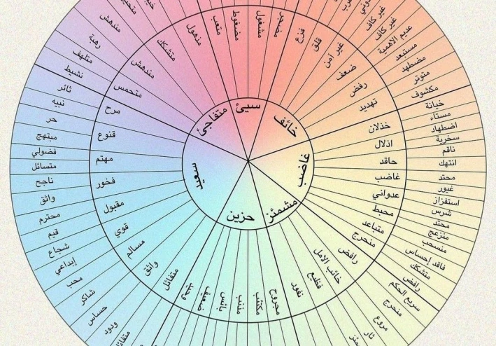 تنظيم المشاعر: مهارة للحفاظ على التوازن النفسي