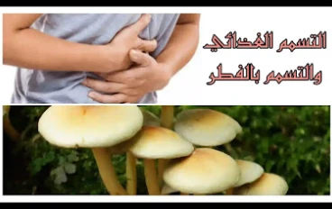 10 حقائق عن تسمم الطعام والتسمم بالفطر