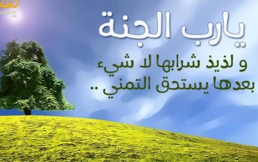 صفه الجنه دار الحق