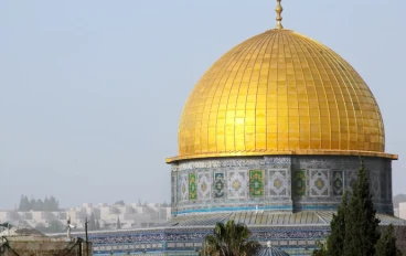 معلمو حصة التاريخ خاطئون  