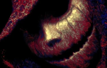 جثة تحت السيراميك”