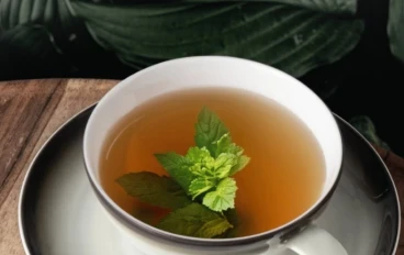 الشاي الأخضر: مشروب العافية اليومية لصحة وحيوية مثالية