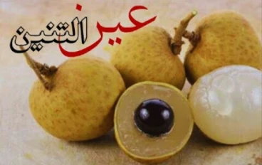 الجوهرة الاسيويه الحلوة