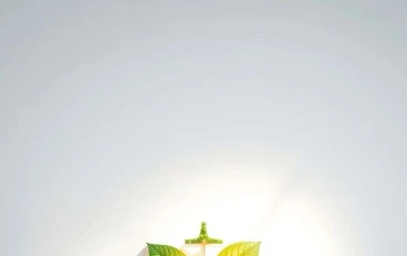 الصحة العامة… الوقاية قبل العلاج