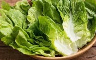 فوائد الخس على البشرة