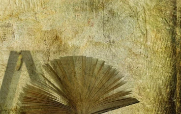 ليلةٌ تغيّر وجه الحارة