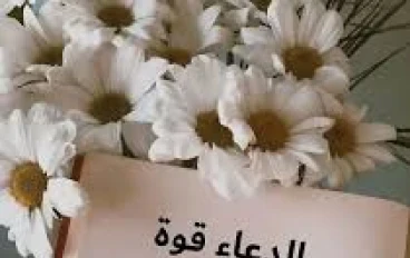 سر  قوّة الدعاء… المعجزة التي تغيّر حياتك بدون أن تشعر 