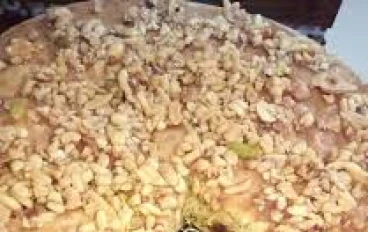 🥧 فطيرة التفاح بالقرفة والمكسرات: وصفة لذيذة وسهلة بنكهة المنزل