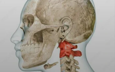 البطل الخارق الذي يحمل جمجمتك