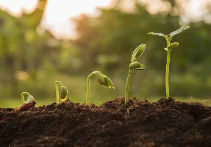 الخوف من التغيير مش كسل… ده دماغك يشغّل وضع الحماية