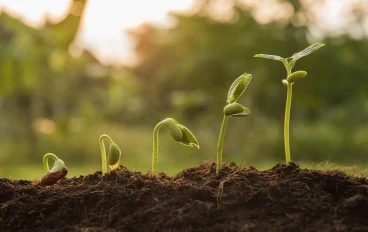 الخوف من التغيير مش كسل… ده دماغك يشغّل وضع الحماية 