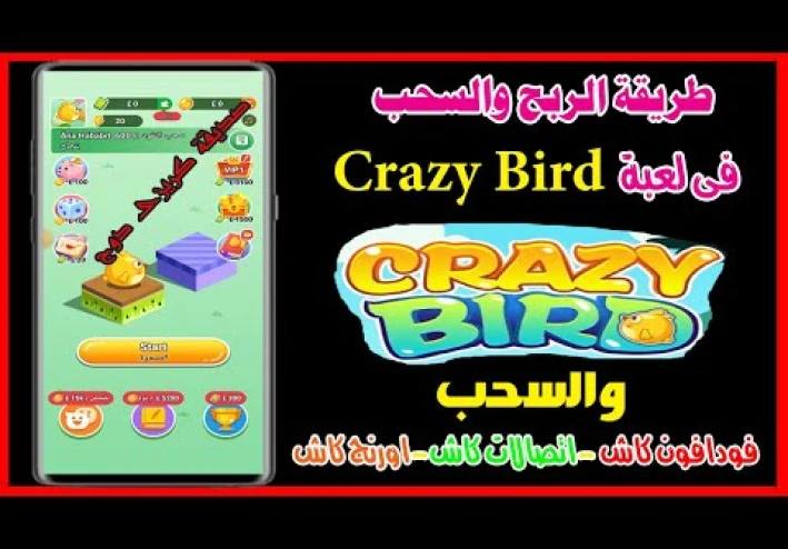استمتع بالربح المالي من لعبة الطيور المجنونة Crazy Bird