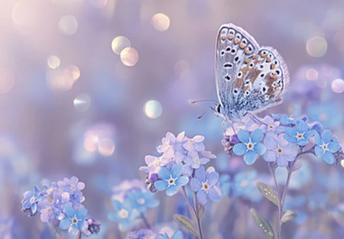 حين يبتليك الله… فإنه يدعوك أن تقترب لا أن تنكسر