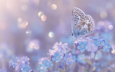 حين يبتليك الله… فإنه يدعوك أن تقترب لا أن تنكسر