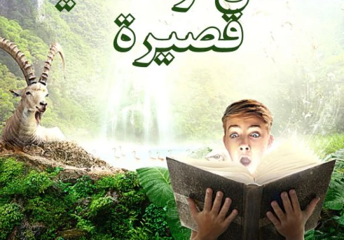 ⭐ قصة أطفال : رحلة سليم إلى مدينة الضوء