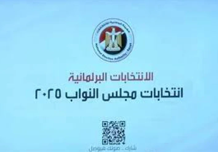 لماذا تُعاد الانتخابات في مصر؟ الأسباب الحقيقية وراء قرارات الإلغاء وإعادة التصويت*