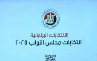 لماذا تُعاد الانتخابات في مصر؟ الأسباب الحقيقية وراء قرارات الإلغاء وإعادة التصويت*