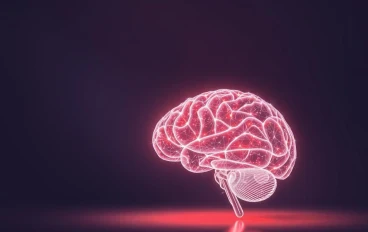 قدرات العقل البشري في الحفظ:أسرار الذاكرة البشرية