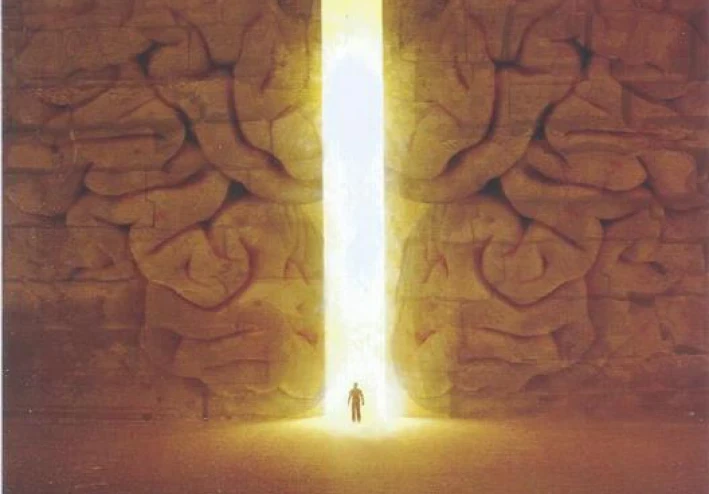 رواية أرض زيكولا – عمرو عبد الحميد