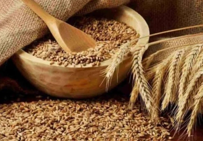 الشعير وصية الرسول هذا منجم“ ذهب”