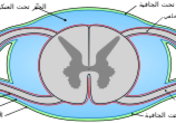 الأم الحنون والأم الجافية