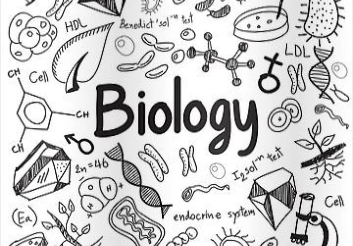 ملخص أحياء  للثانوية العامة، منسق بطريقة بسيطة وسهلة الحفظ، يشمل أهم النقاط