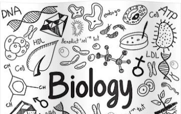 ملخص أحياء  للثانوية العامة، منسق بطريقة بسيطة وسهلة الحفظ، يشمل أهم النقاط
