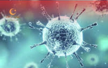   هل رعب كورونا سيعاود مرة اخرى   متحور H3N2.. لماذا يحذّر العلماء من أقسى موسم إنفلونزا منذ 10 سنوات؟**